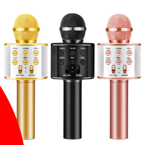 HANDHELD KTV Wireless microphone WS-858