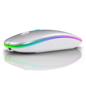 HP Wireless Mouse W10 Silent - Silver